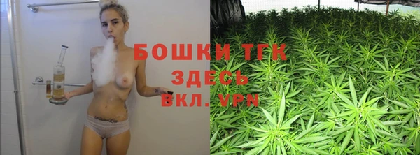 дурь Гусев