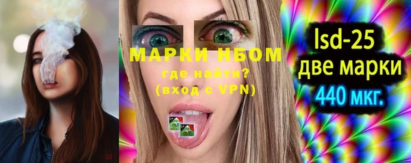 дурь Гусев