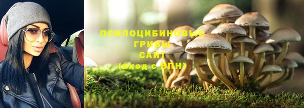 дурь Гусев