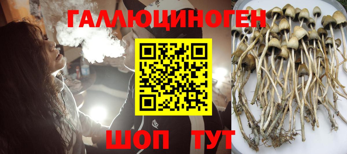 Псилоцибиновые грибы MAGIC MUSHROOMS Лесосибирск