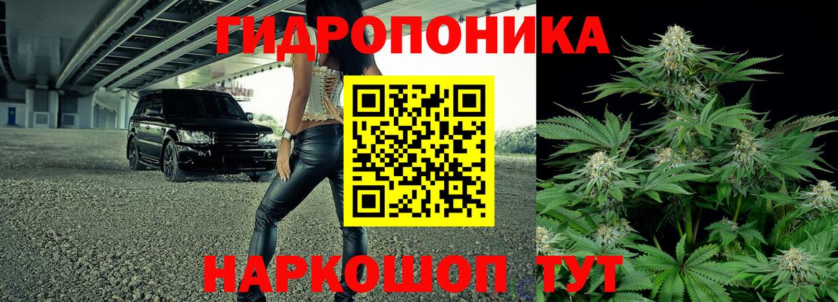 Бошки Шишки сатива  Бошки Шишки ГИДРОПОН  Конопля LSD WEED  Конопля Bruce Banner  Вход с VPN  Лесосибирск 